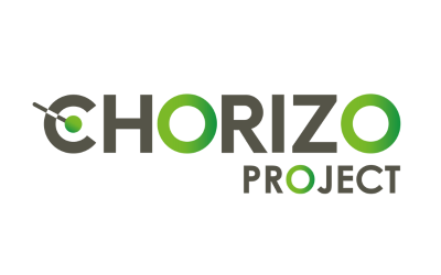 20 Chorizo